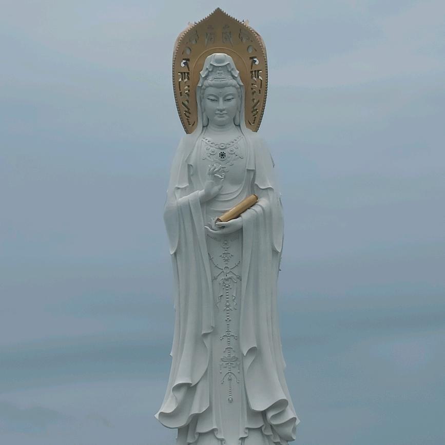 766521YY   🐸清浅