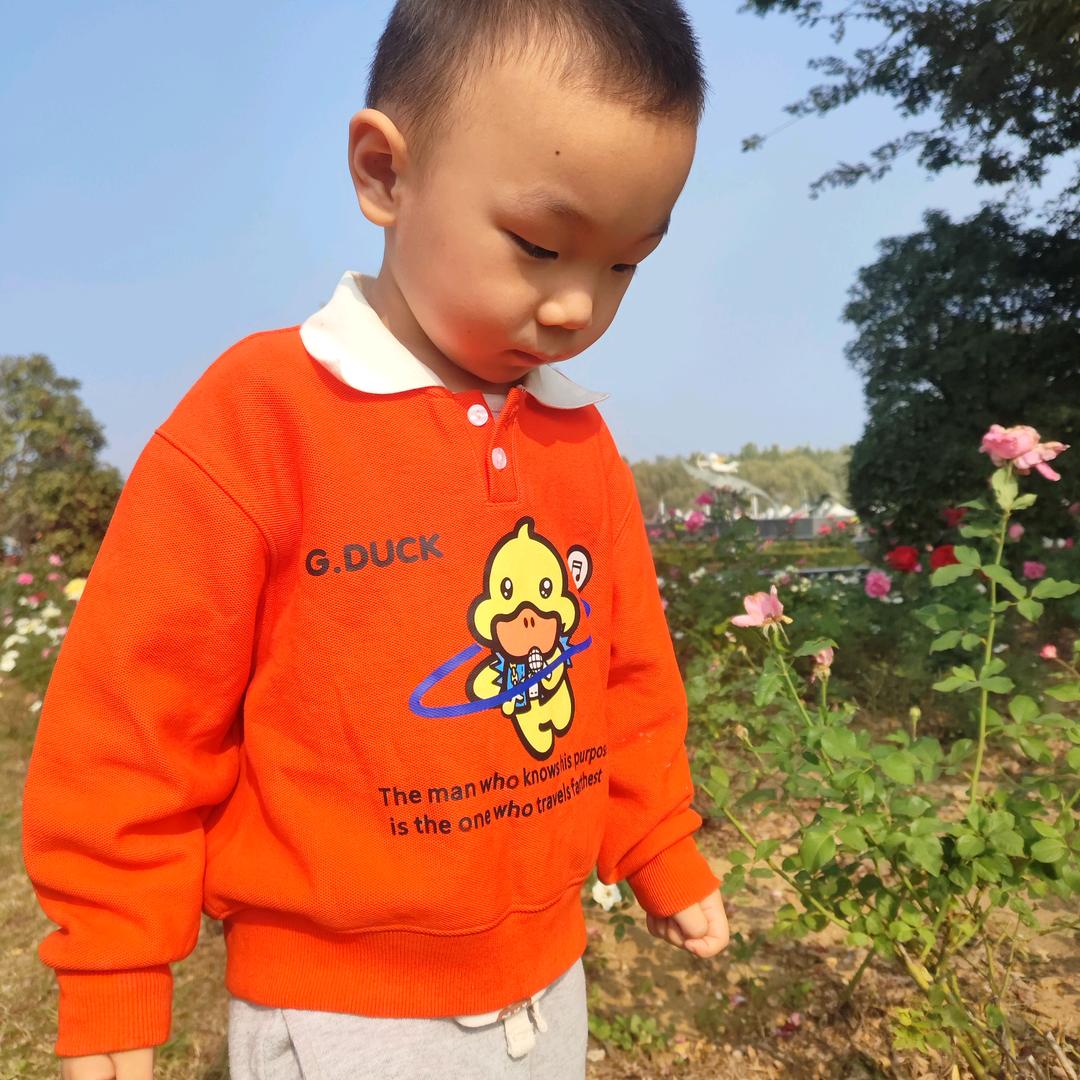 幸运的金宝              ╲