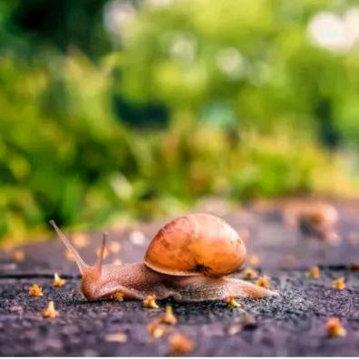 如你所愿皆所得