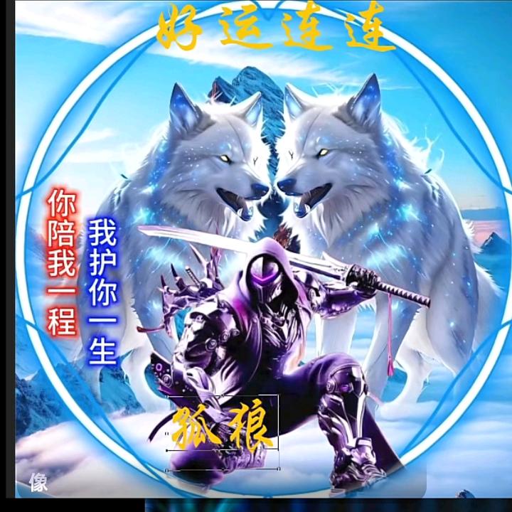 🐺孤狼🐺