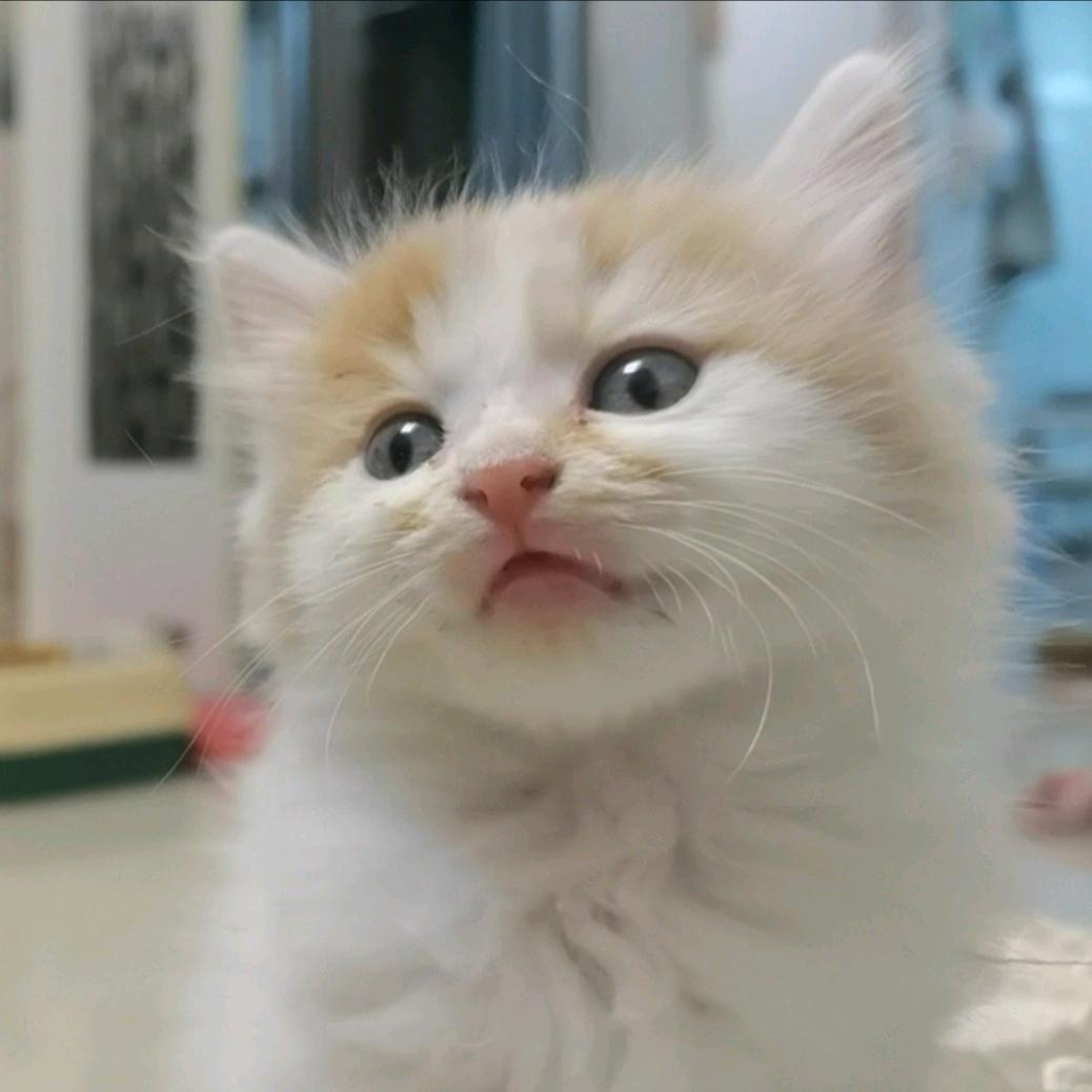 开心小王