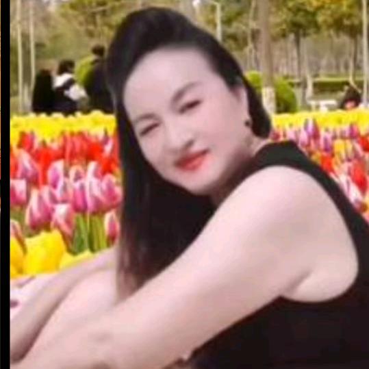 💖悠闲雨蝶💝