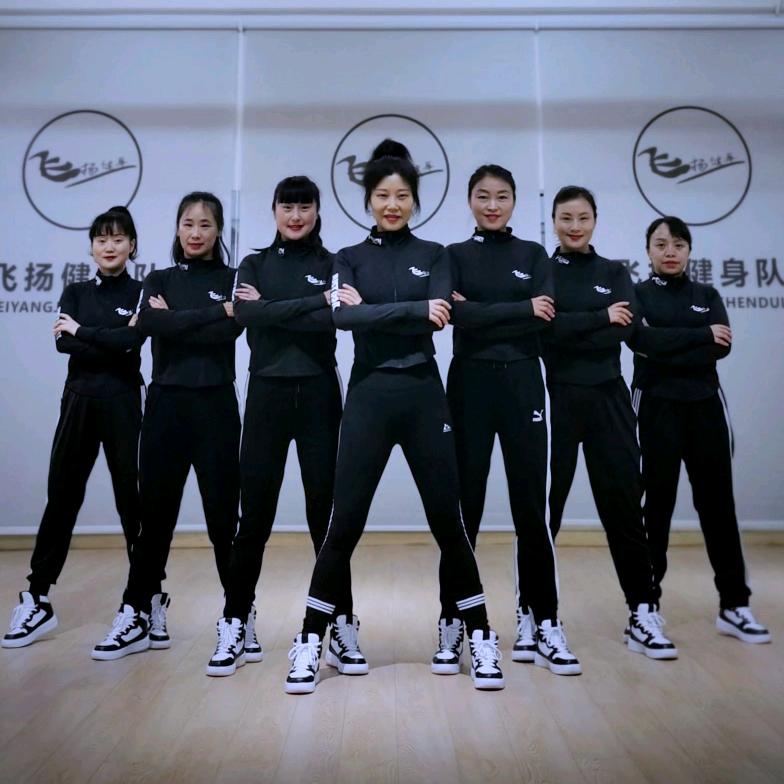 凤凰飞扬运动健身有限公司