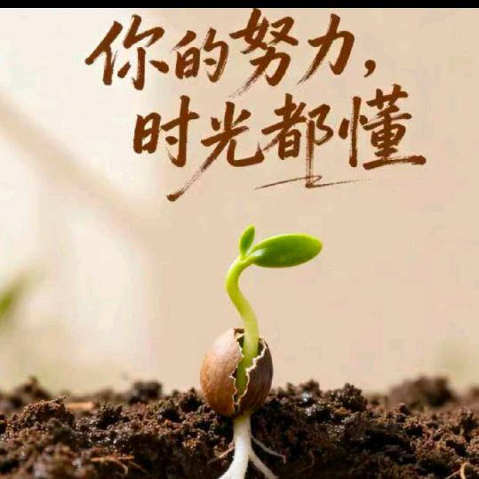 寻梦千里，只为君停留。