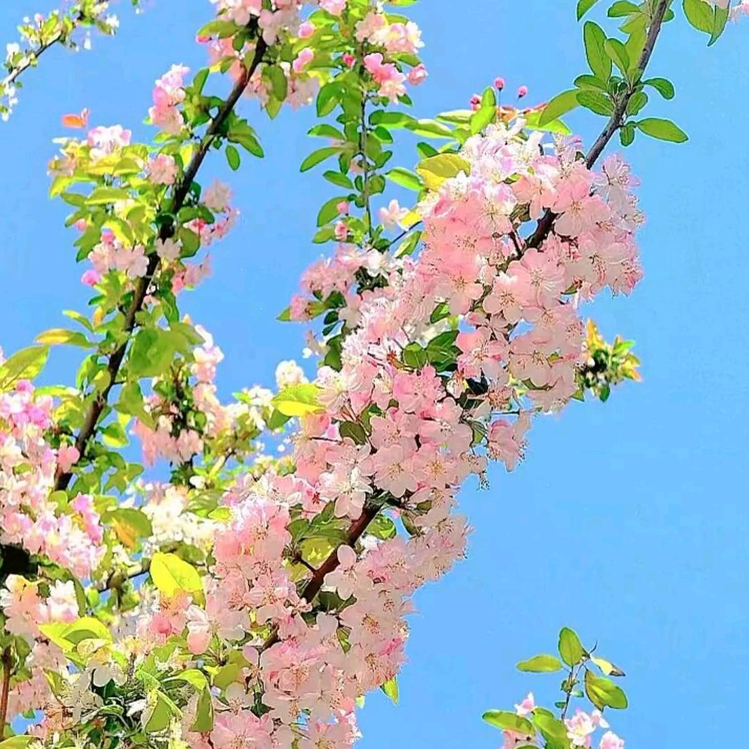 消了个消