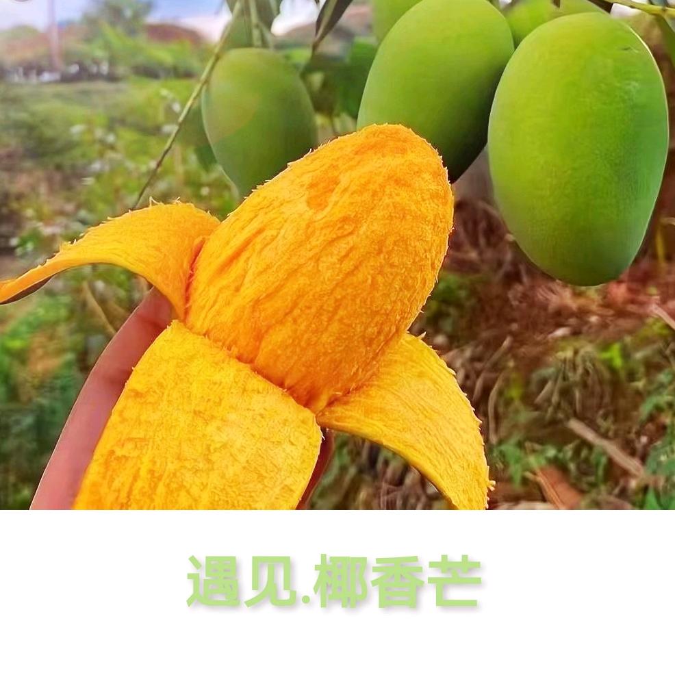 滇源优品小店