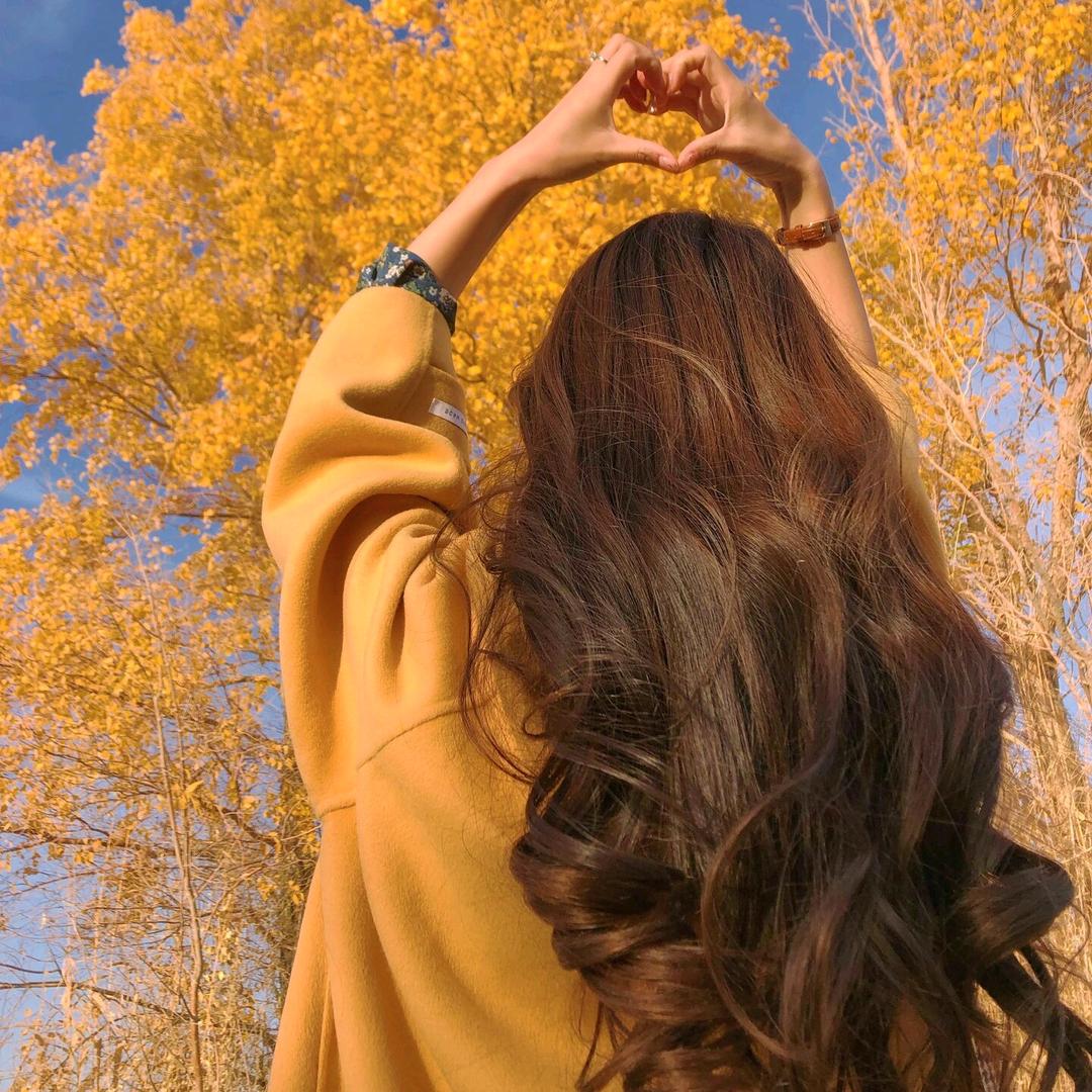 慧慧好物*的头像