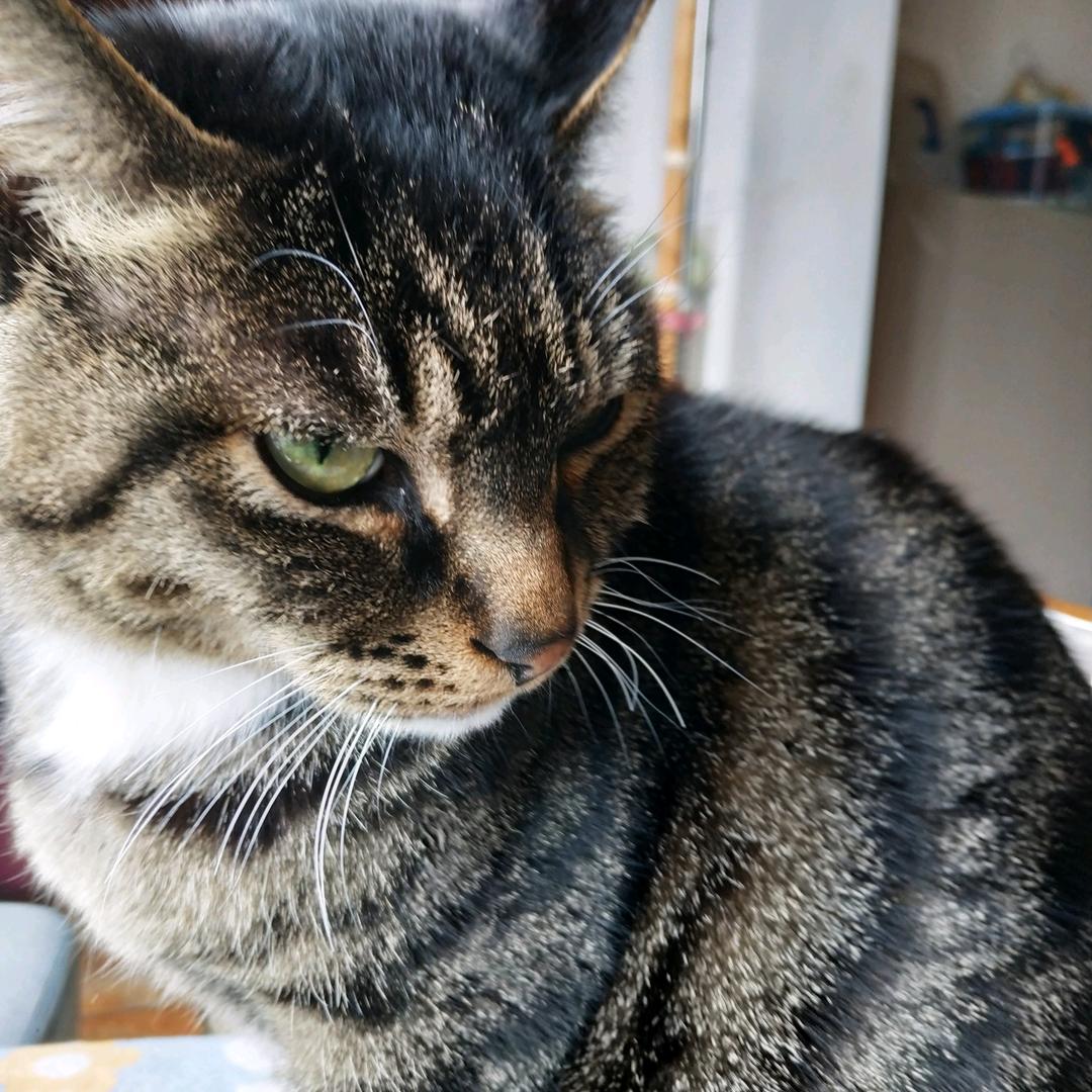 小小小小小小小小小小小小小小小小小小小咪