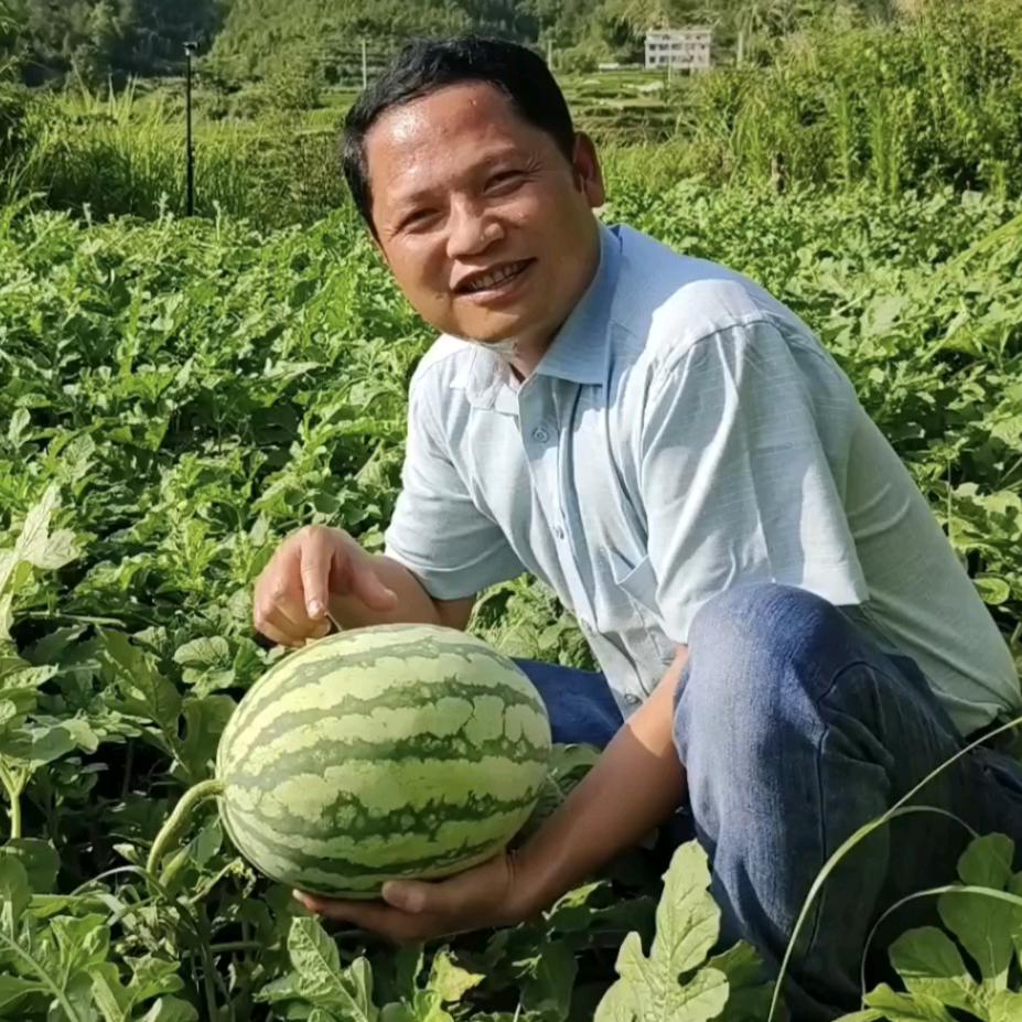 @山里人家（驻村书记）