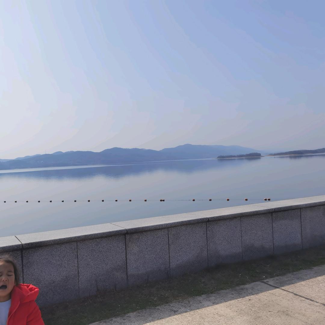 不倾世/只倾你一人