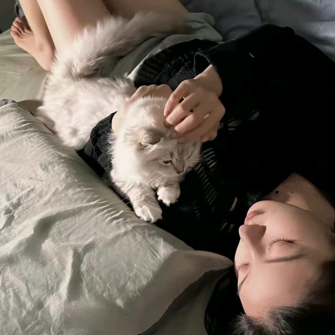 T._