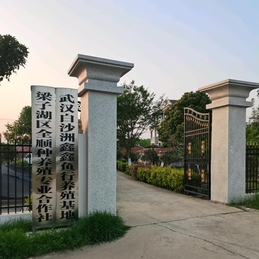 鑫鑫渔行龙虾螃蟹批发