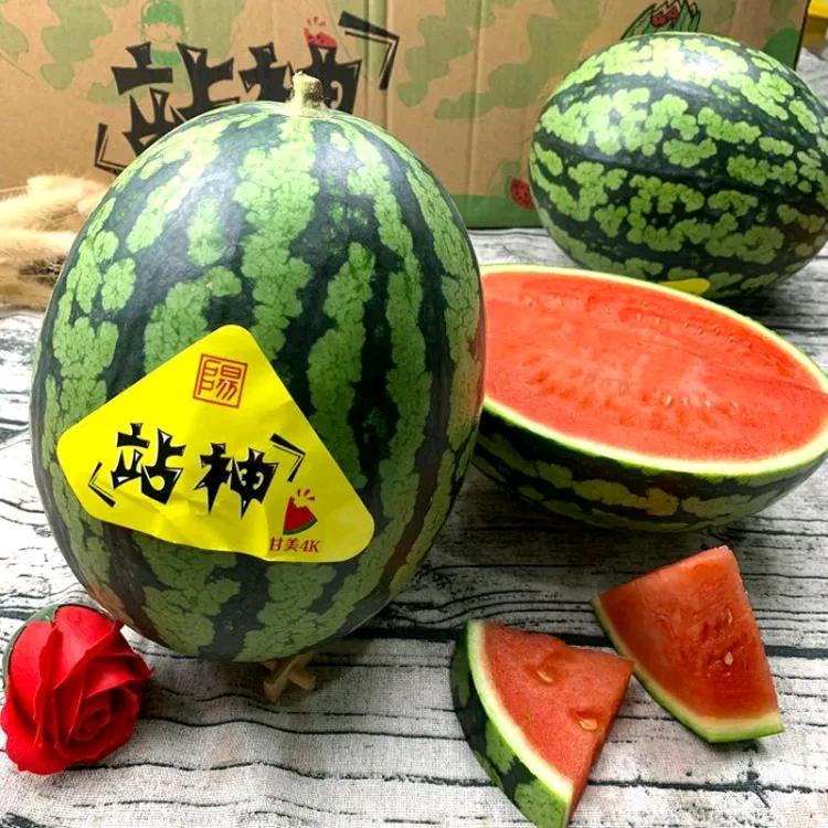 吃西瓜皮说大话