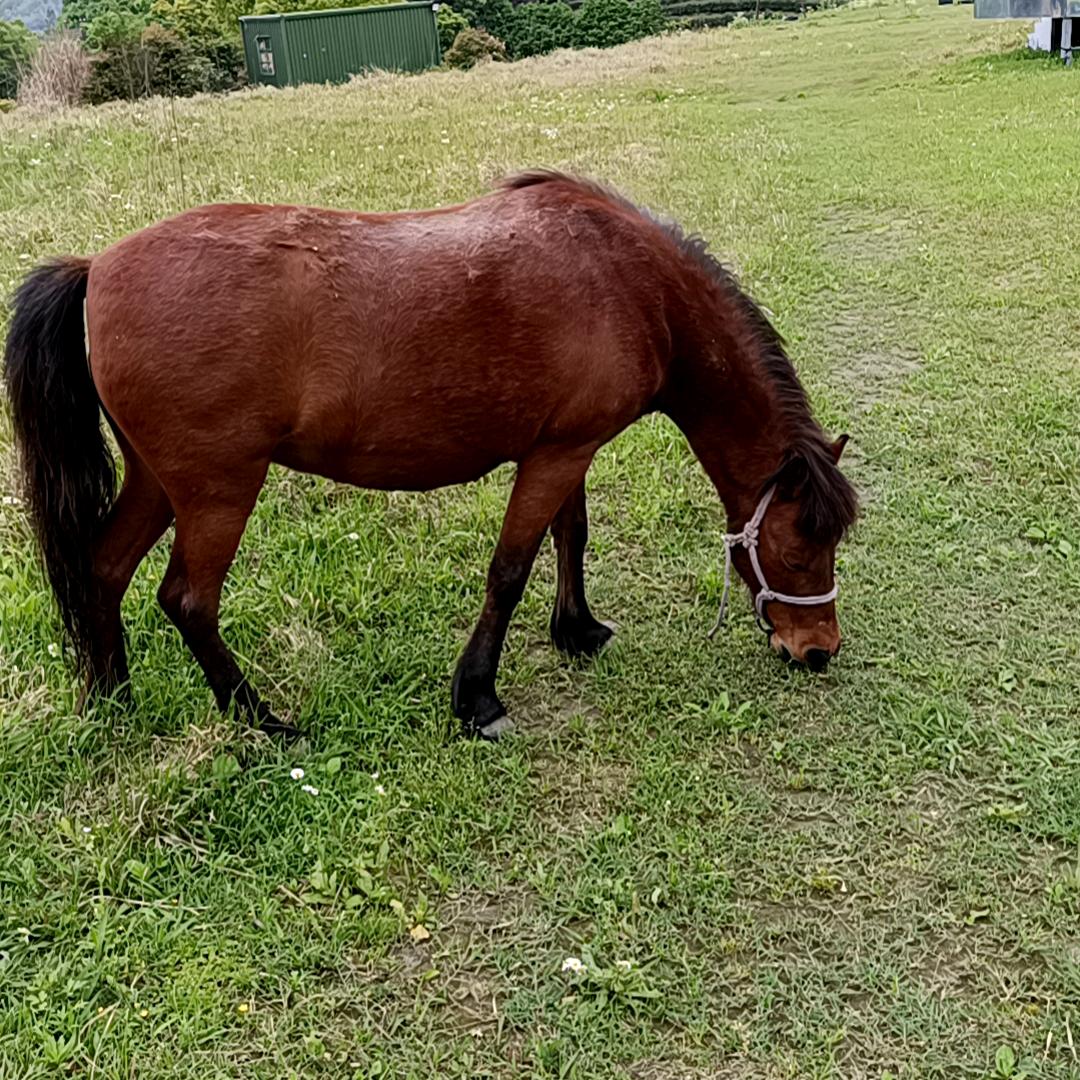 流动修车二伟哥
