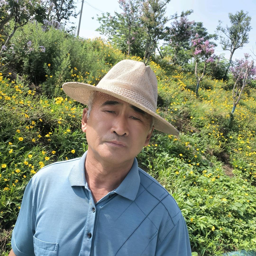 平凡一生。