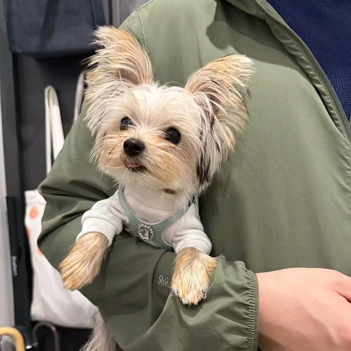 复见