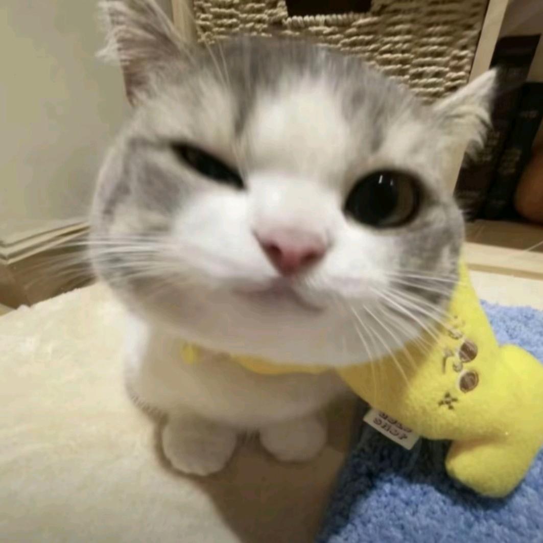 啊丹丹丹三