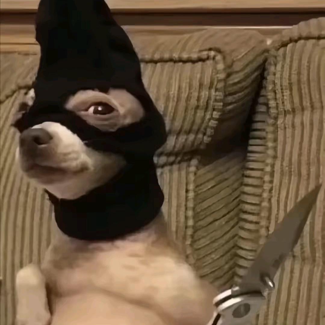 12.25