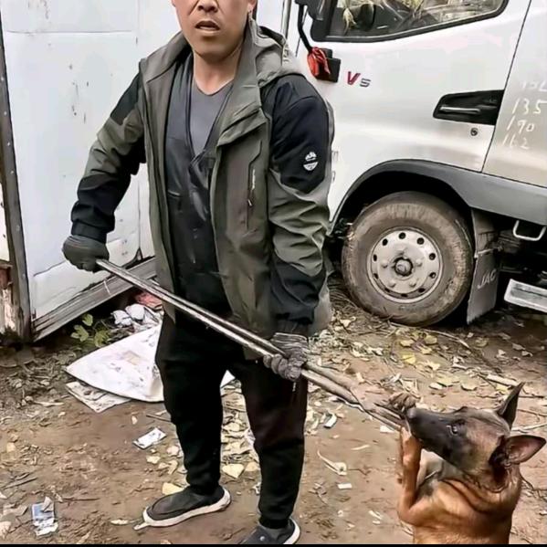 苏州套狗王（全苏州可套）