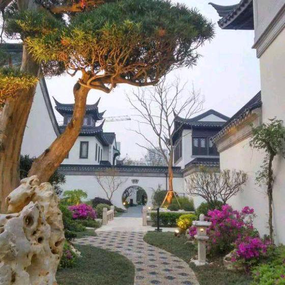 平安—行
