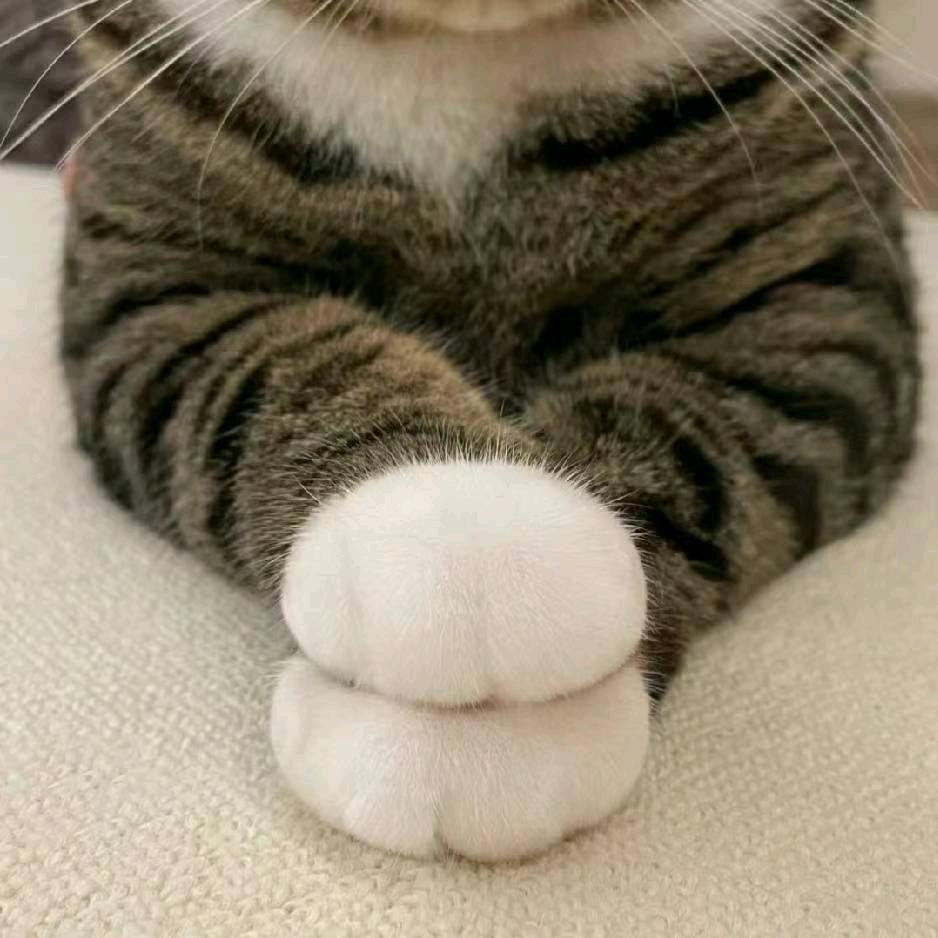 小琦美甲（燕理宿舍版）