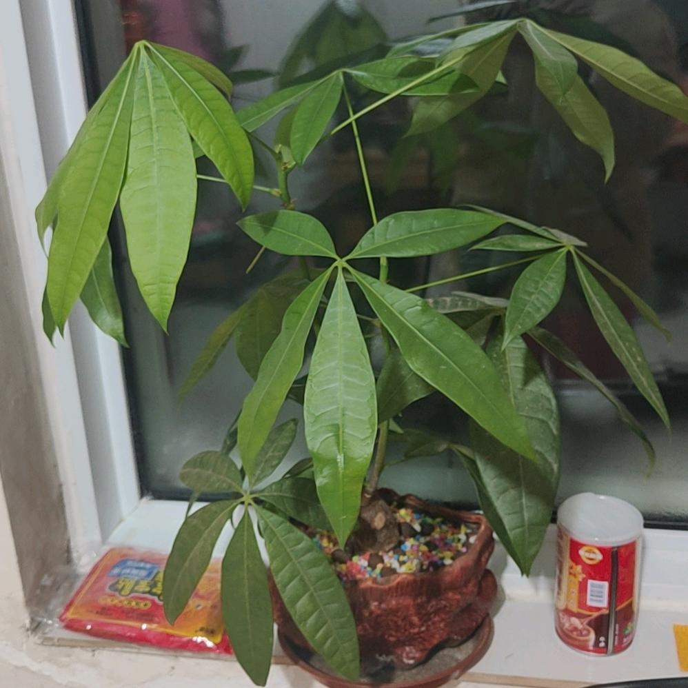 地球人，真人真事