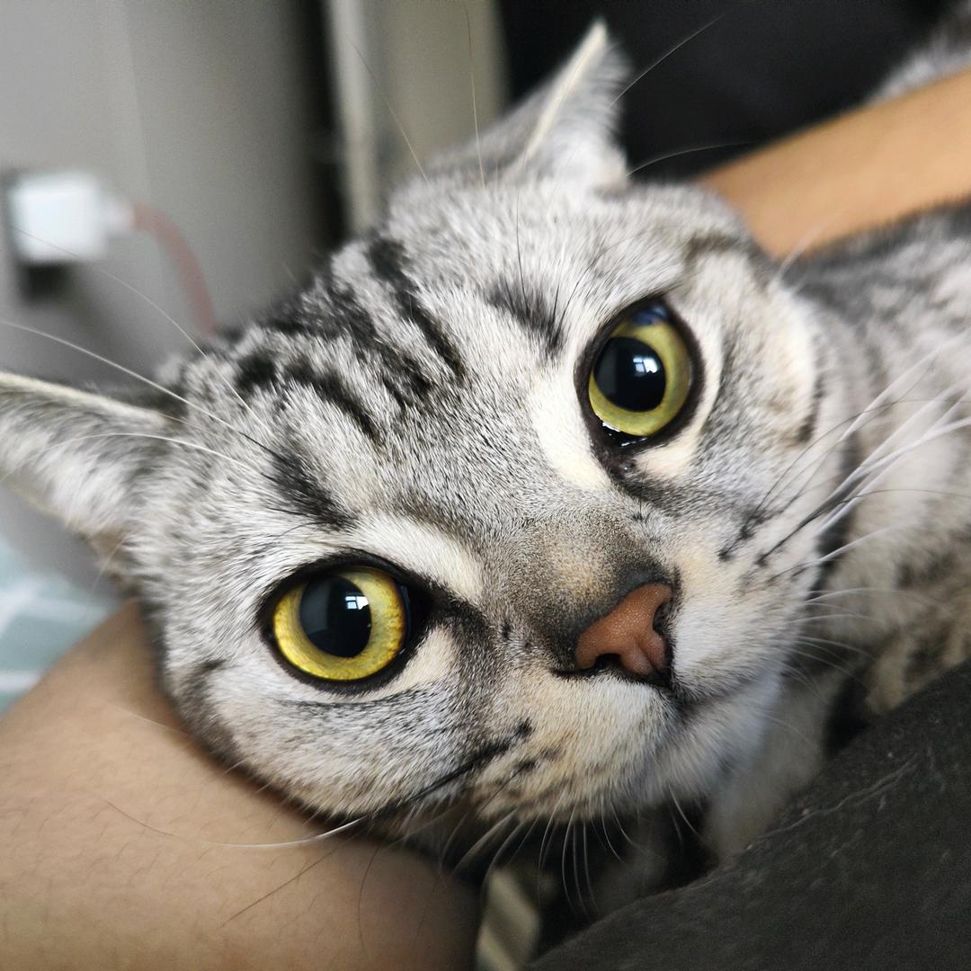 不如眠去梦中见