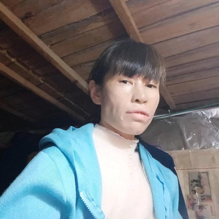 70后的兔