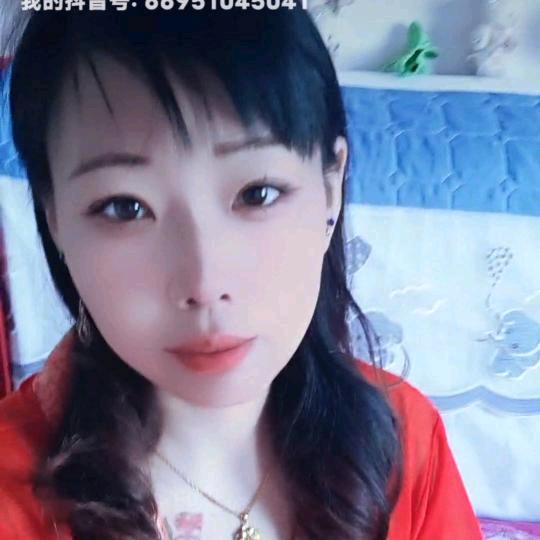 洋河南大街固始鹅块