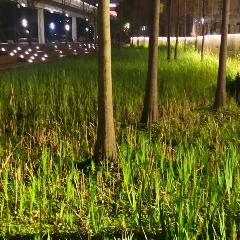 @人生如戏戏如人生YZQ