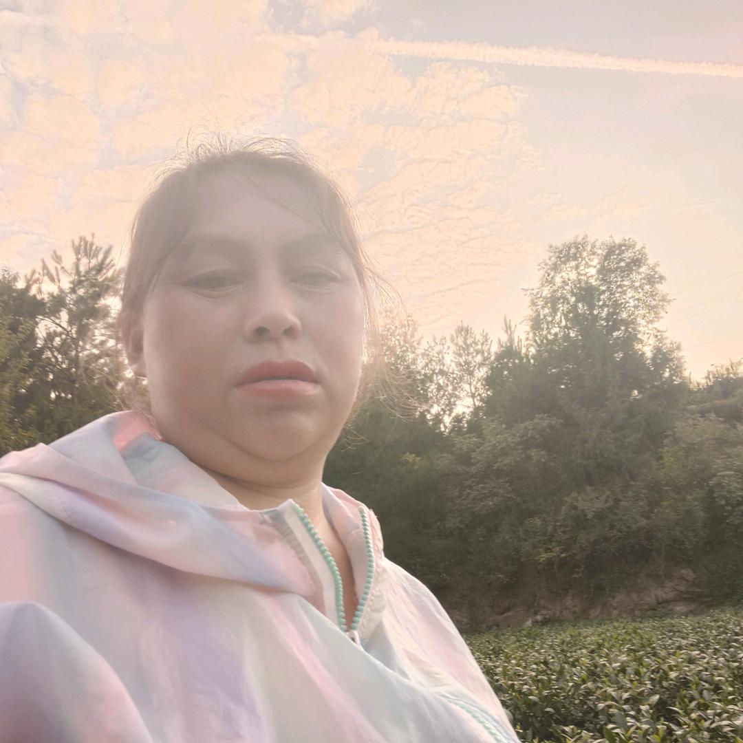 望京镇麻石社区文儒茶叶家庭农场