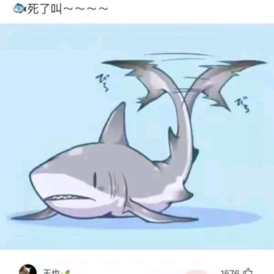 永远的铁骑兵