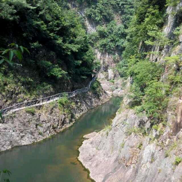 阳哥
