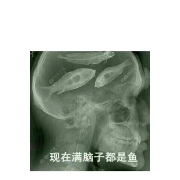 钓鱼🎣老👔
