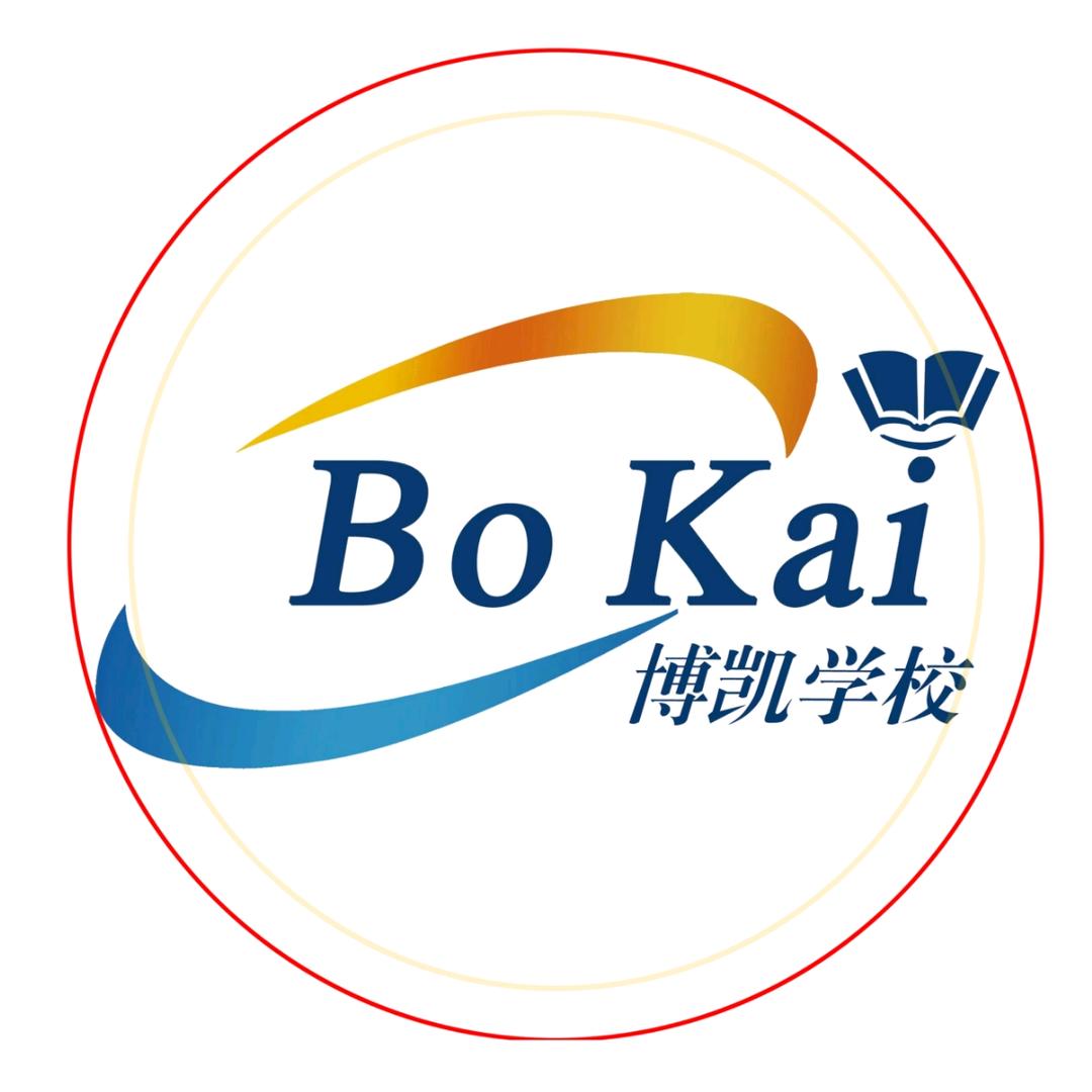 博凯艺考文化课集训老陈