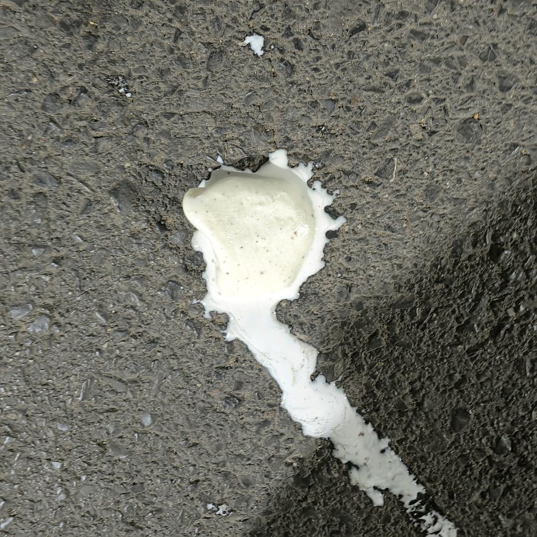 相片