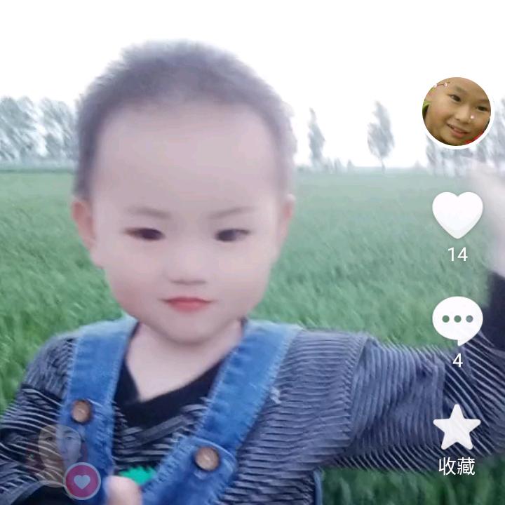 双龙