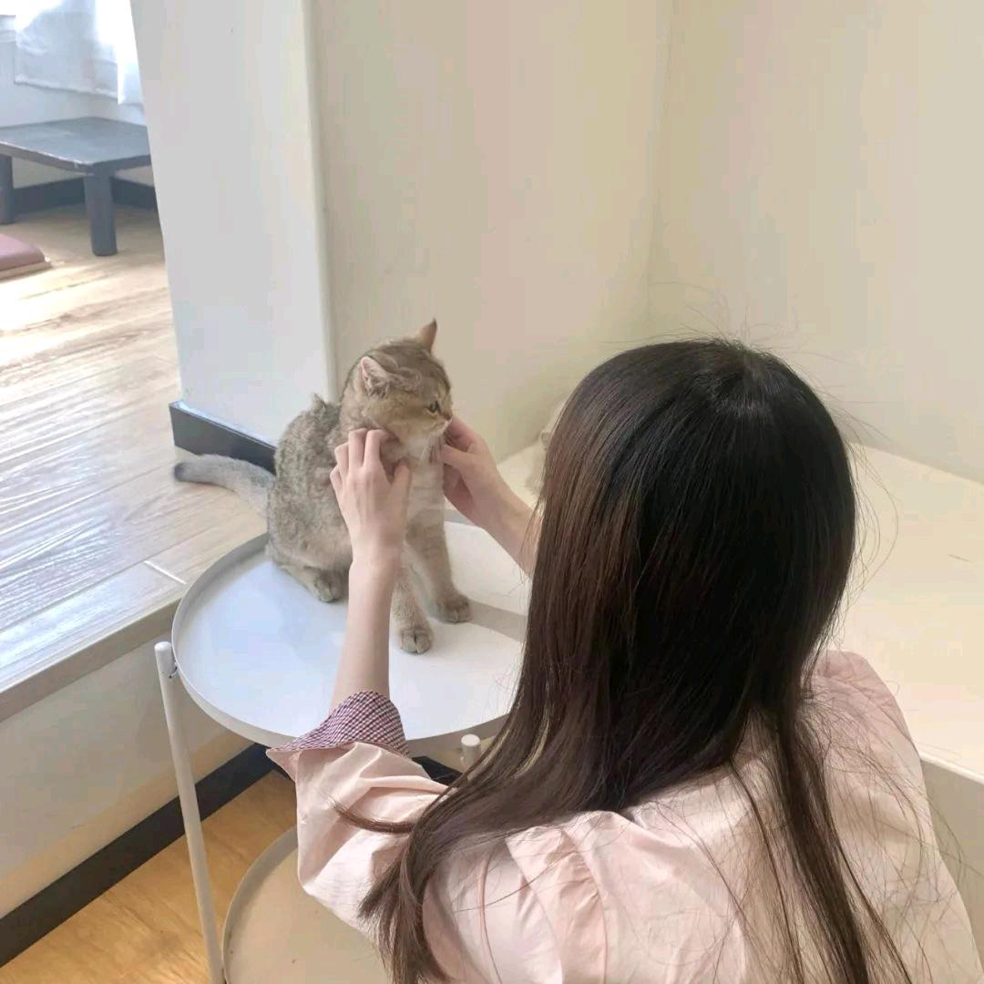 洁宝