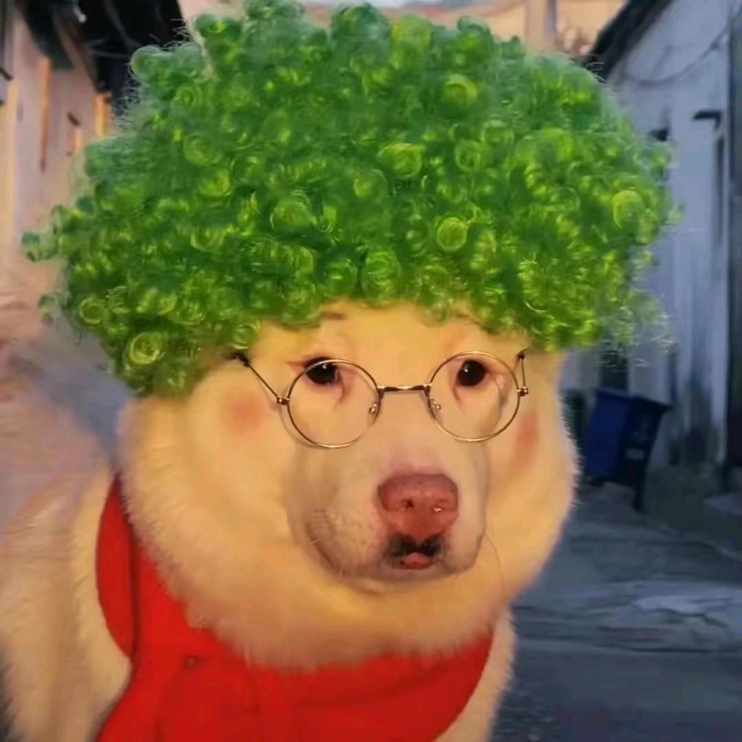 万绿城小米