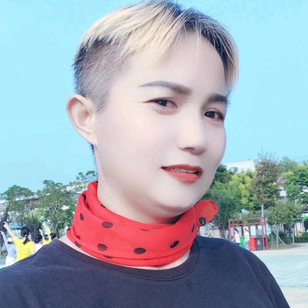 春天的燕子.