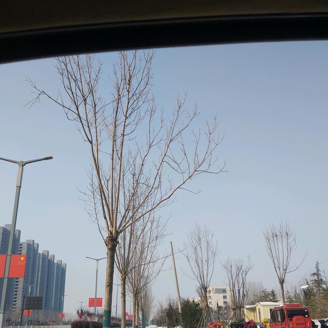 大河九水