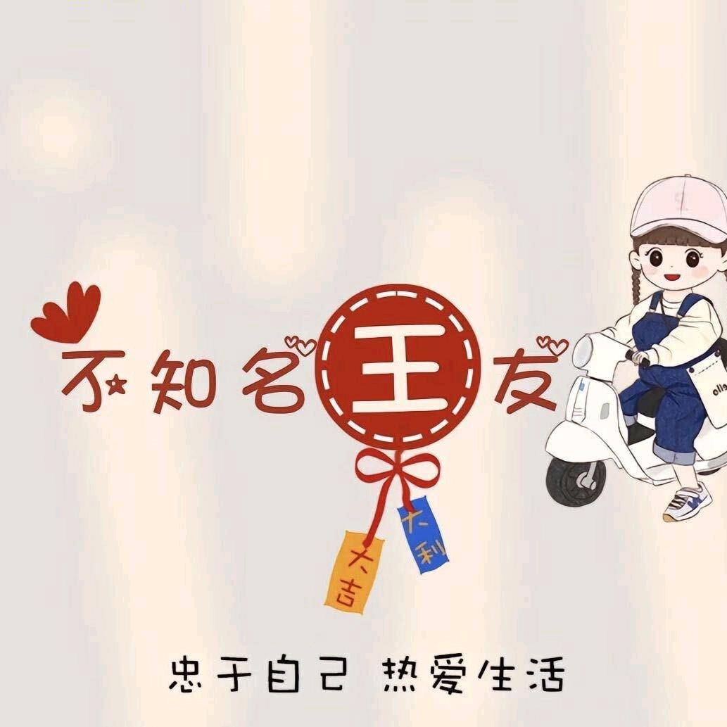 不知名王友