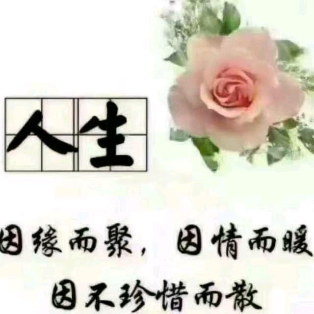 岁月浅唱
