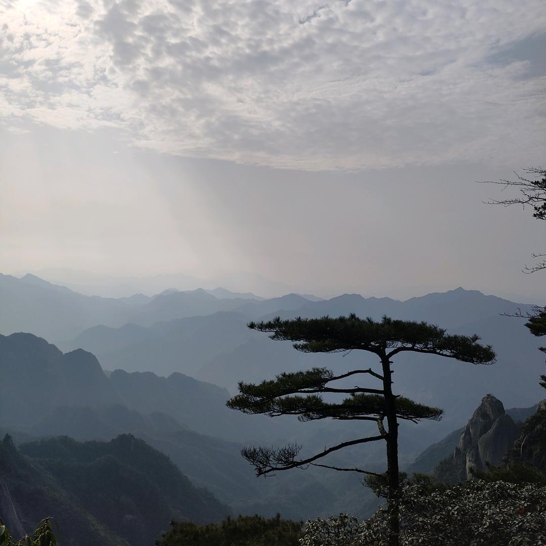 飞飞在江西(橱窗好物)