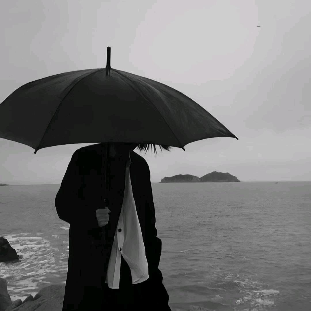 菜.包仔