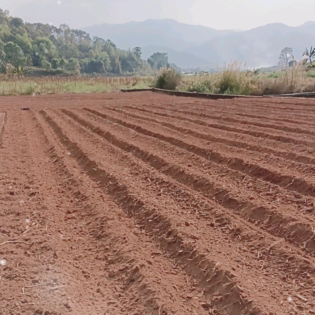 赚！千！望！钱！