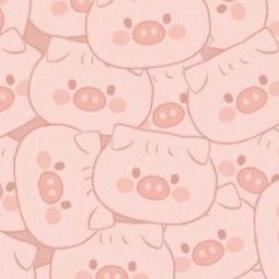 有酒窝的小贝壳.