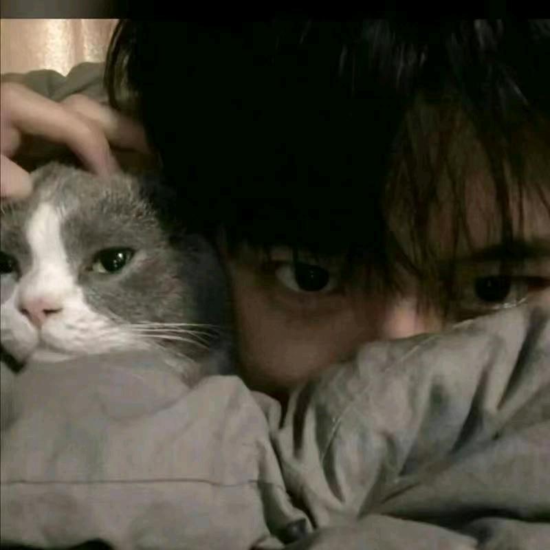 或许你是对的