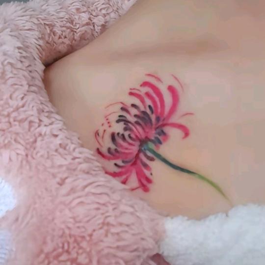 @情为何物@