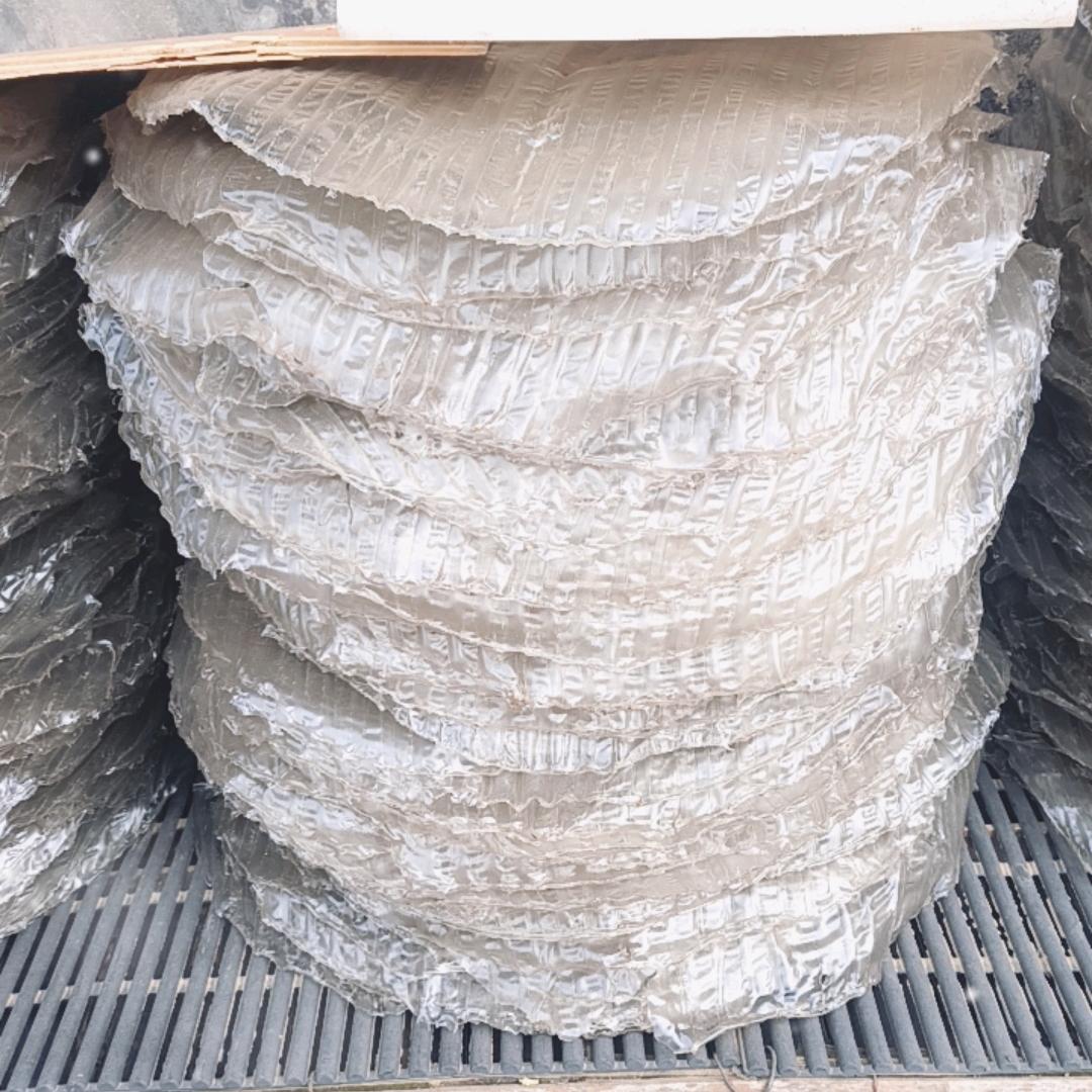 粉皮大姐九月菊